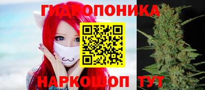 дмт Заводоуковск